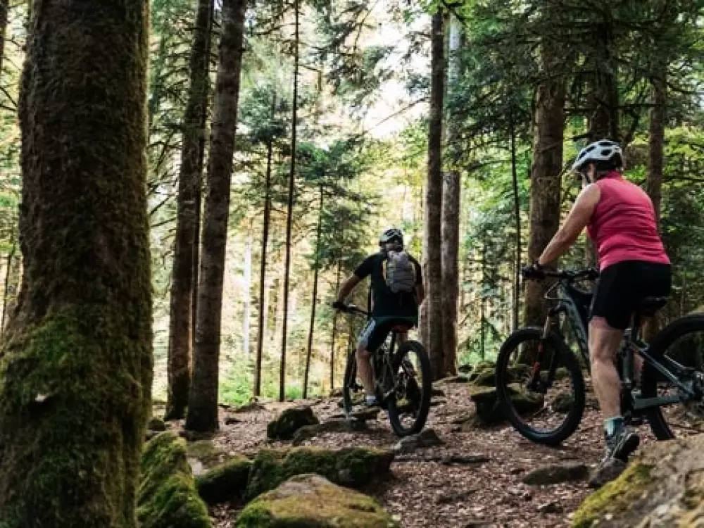 Sunêlia Camping Les Nids Du Lac 4 étoiles★★★★