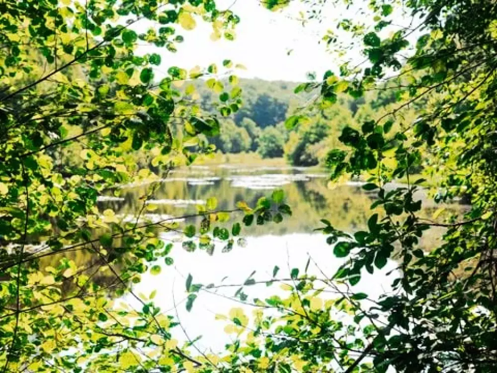 Sunêlia Camping Les Nids Du Lac 4 étoiles★★★★