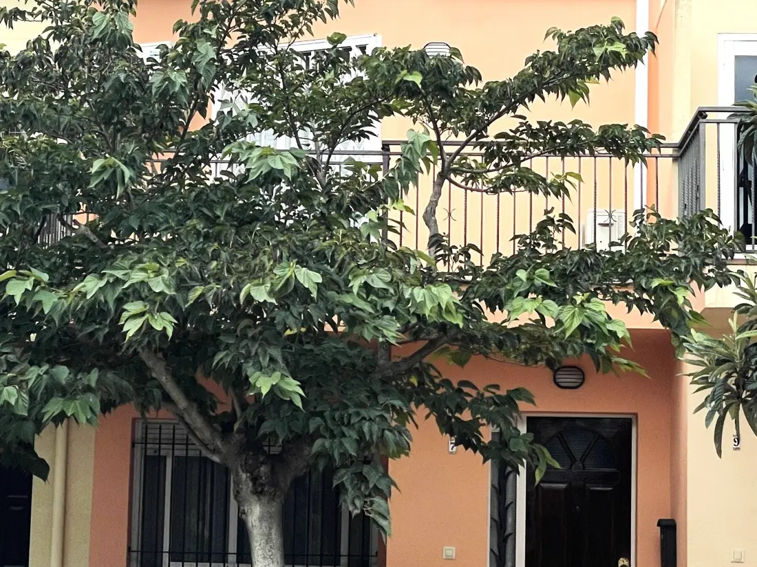 Maison de Vacances Sant Pere Pescador 50