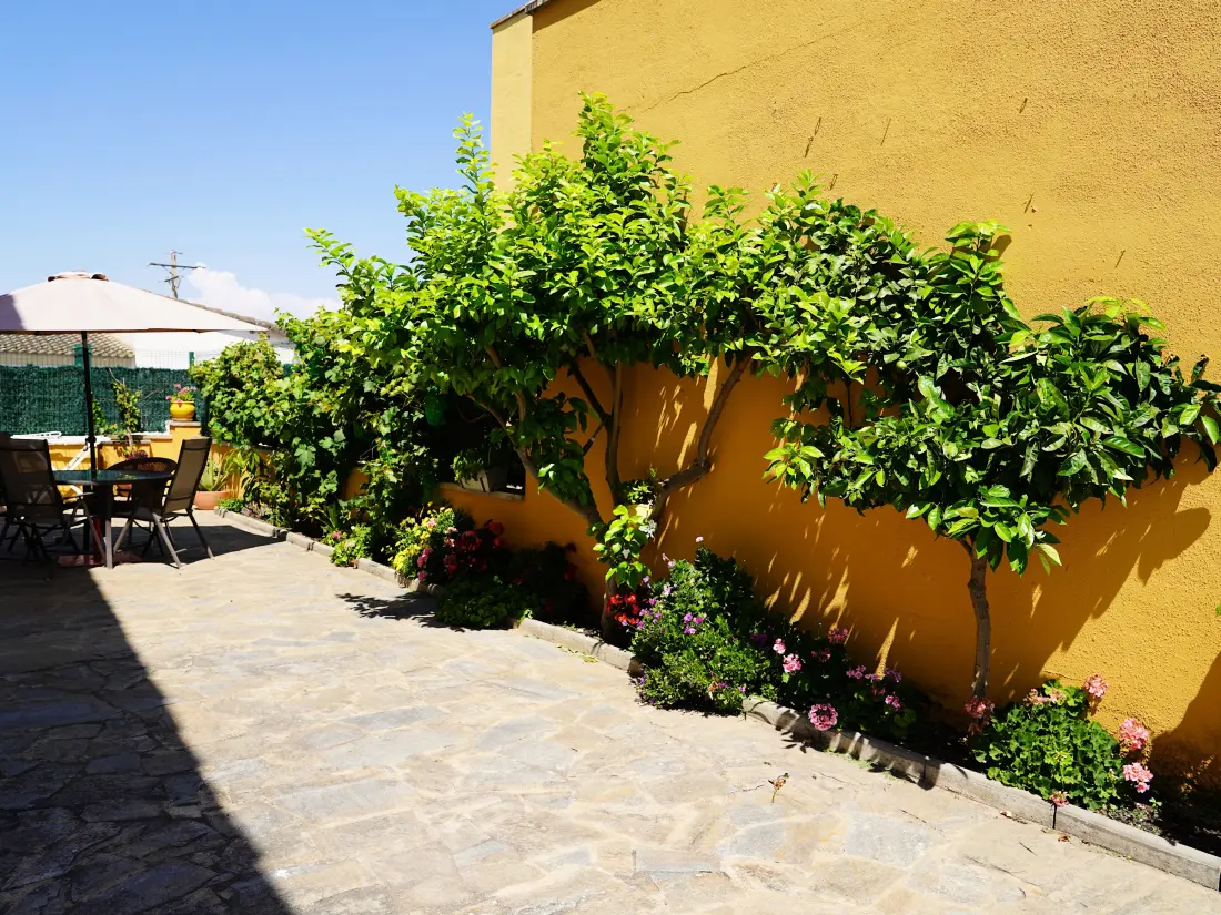 Maison de Vacances Sant Pere Pescador 77