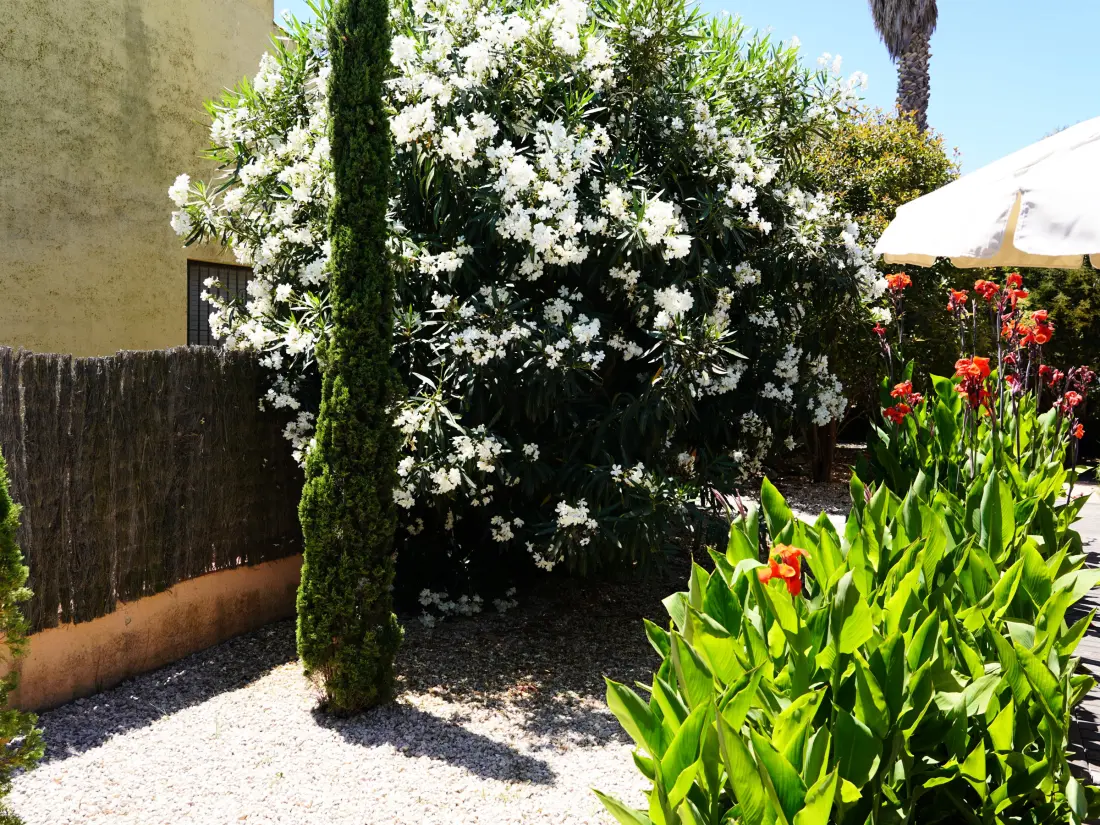 Maison de Vacances Sant Pere Pescador 78
