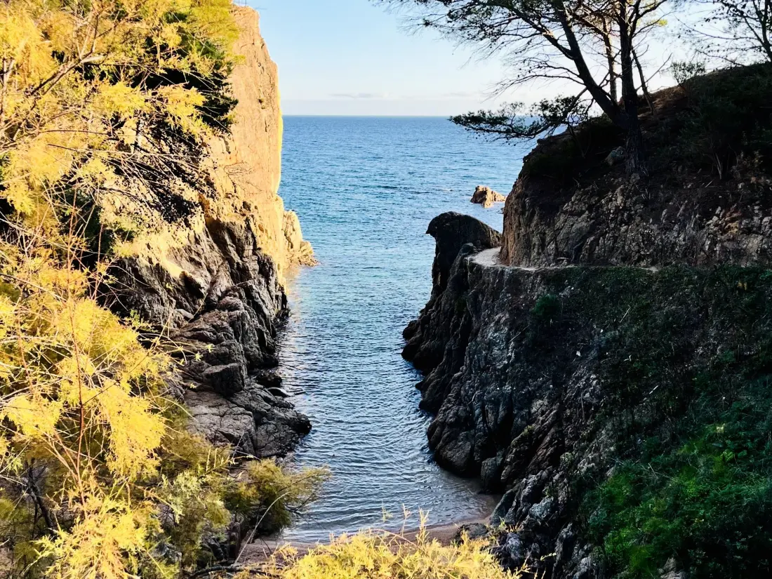 Location de Vacances Santa Cristina d'Aro 56