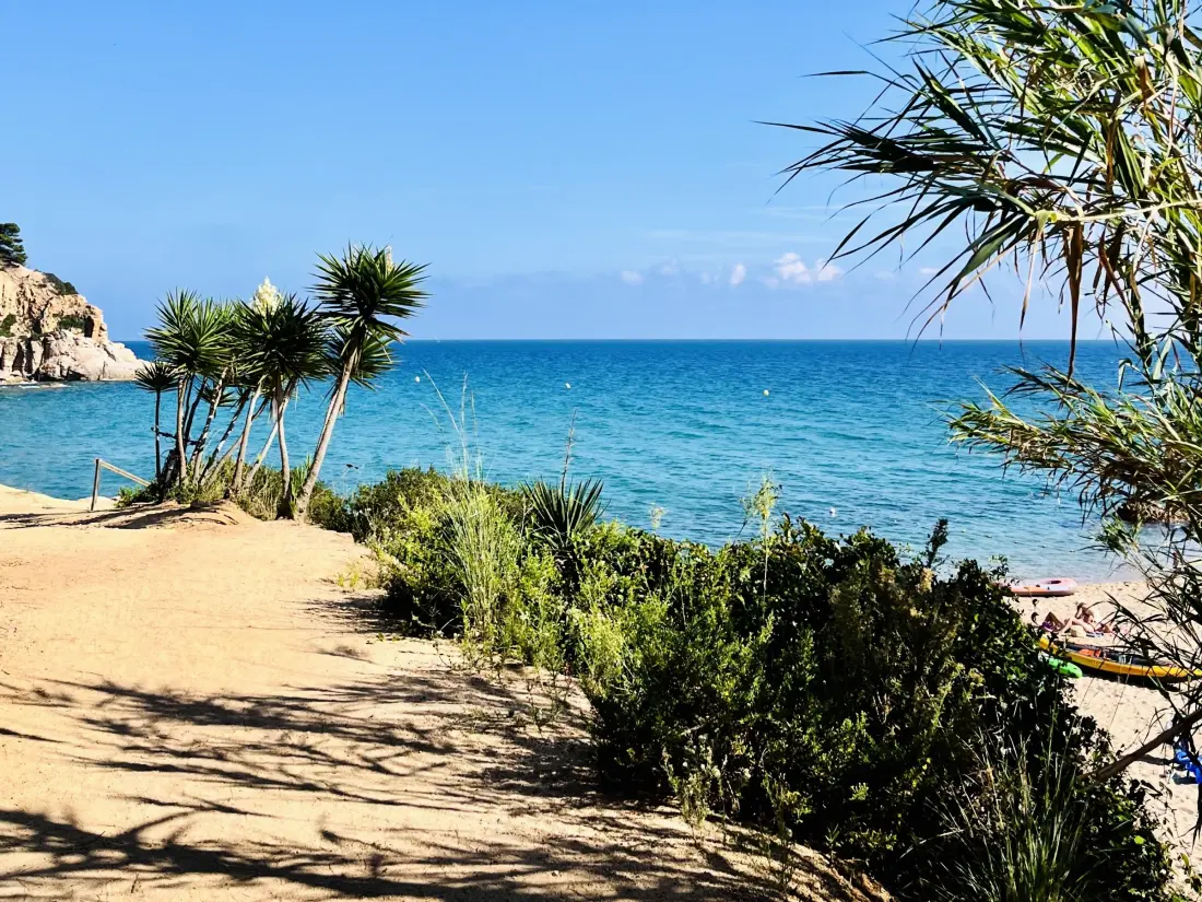 Location de Vacances Santa Cristina d'Aro 56
