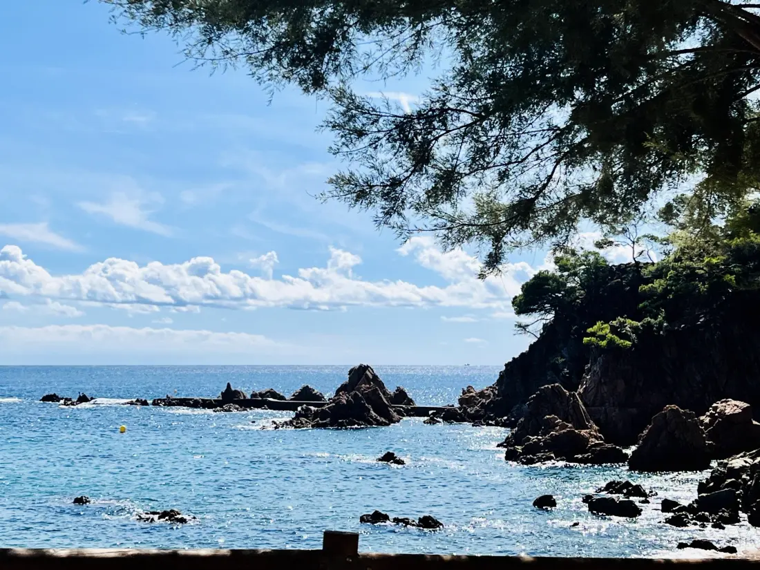 Location de Vacances Santa Cristina d'Aro 56