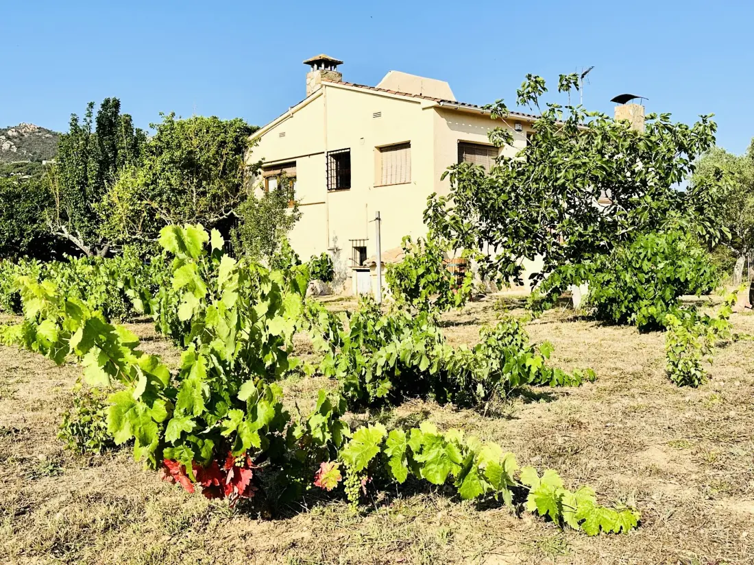 Maison de Vacances Santa Cristina d'Aro 46