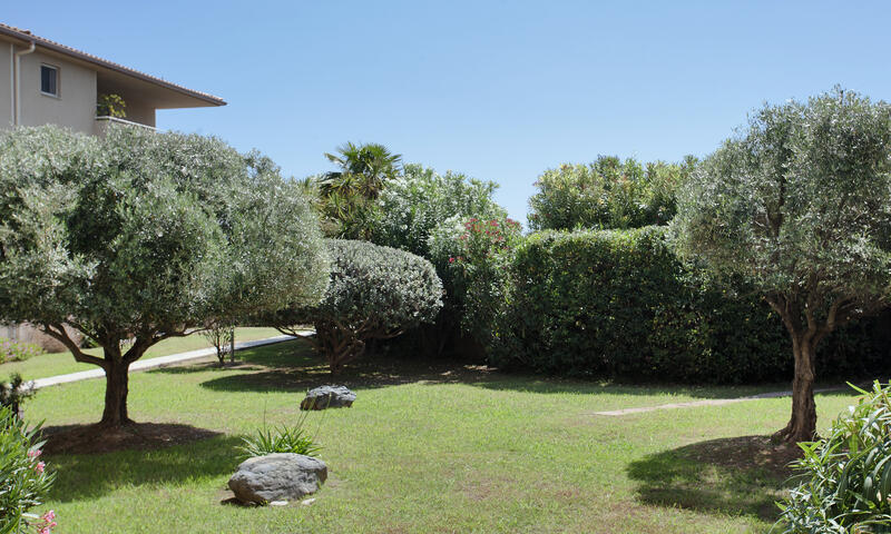 Appartements à Santa Lucia di Moriani - - Santa Lucia di Moriani - 2