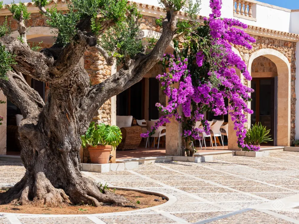 Maison de Vacances Santa Margalida 22