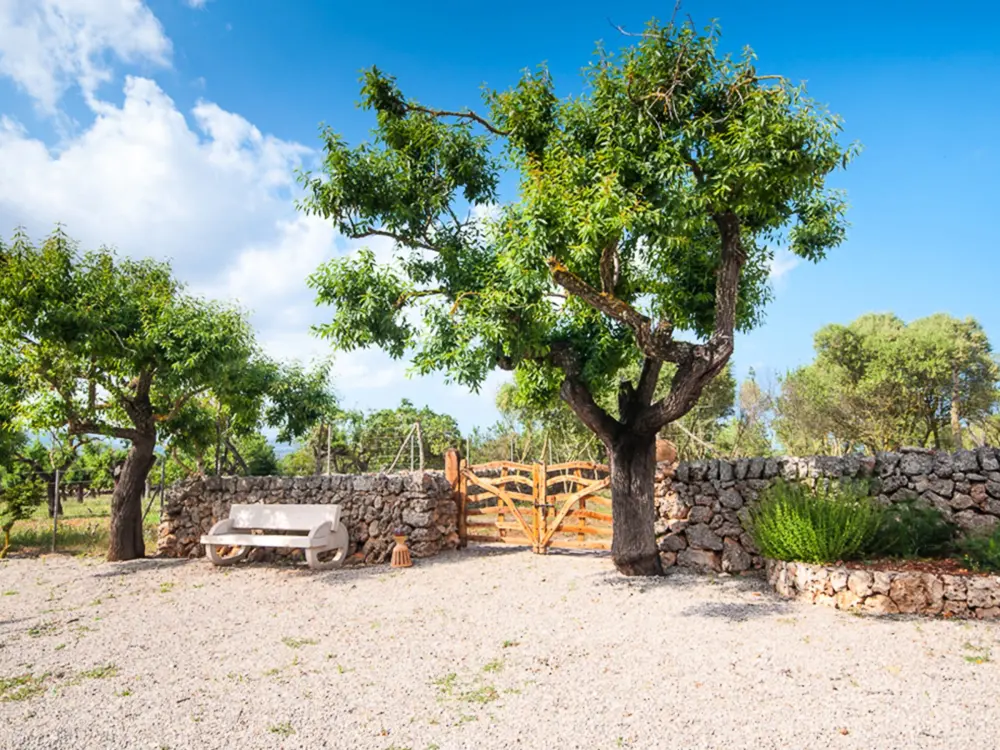 Maison de Vacances Santa Margalida 25