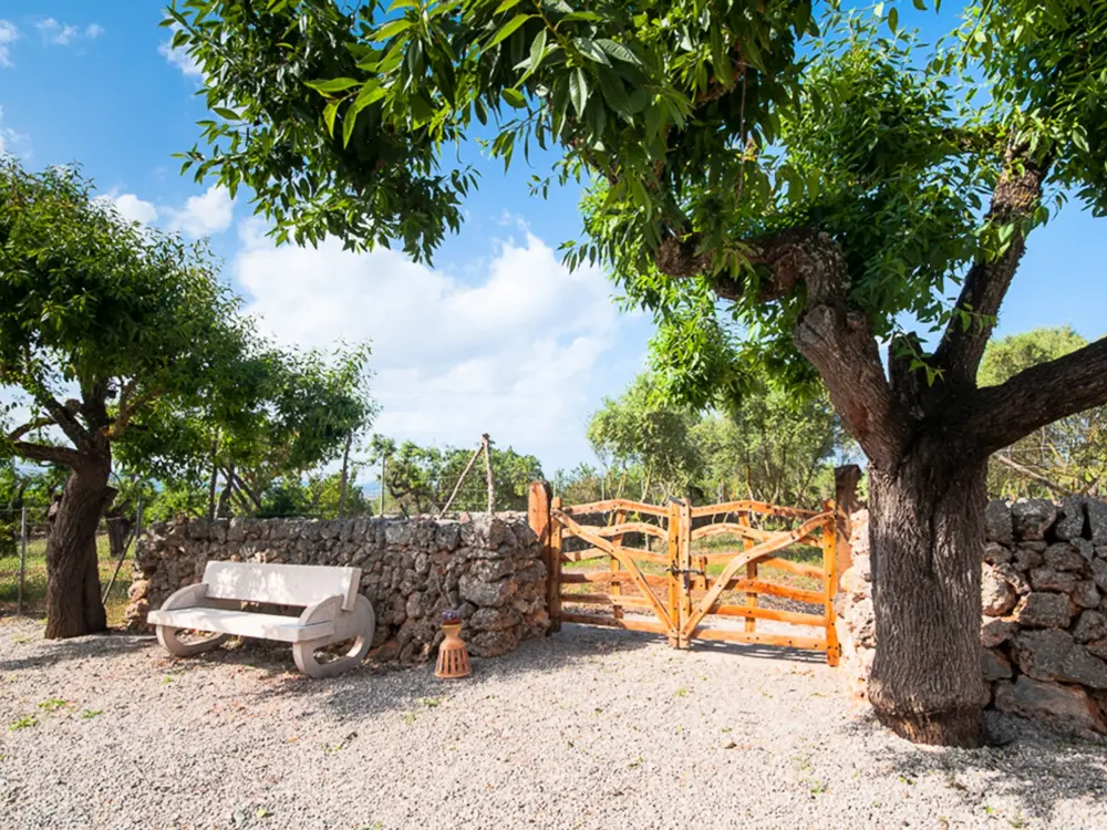 Maison de Vacances Santa Margalida 25