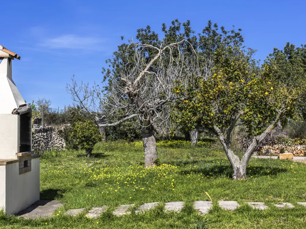 Maison de Vacances Santa Margalida 27