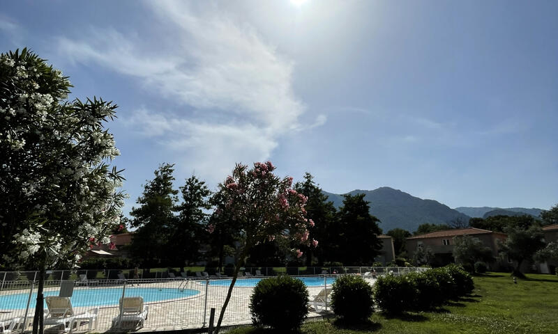 Appartements à Santa Maria Poggio - Corse - - Santa Maria Poggio - Corse - 13