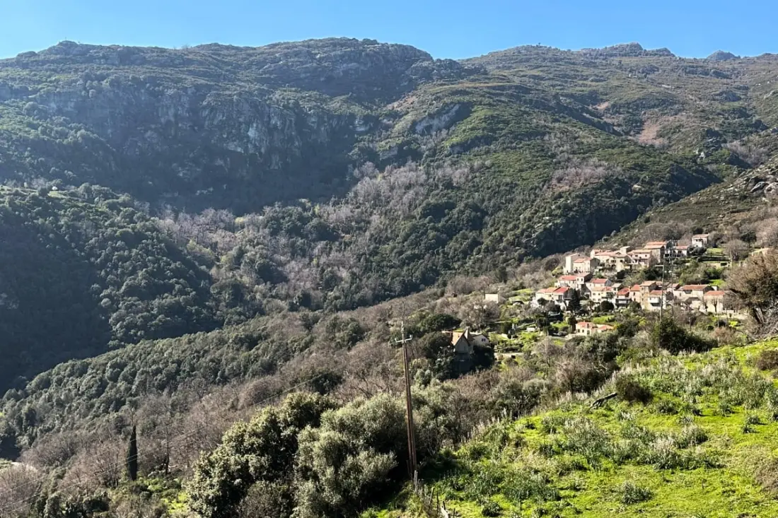 Casa E Tese – Appartement De Charme Dans Maison De Village Corse