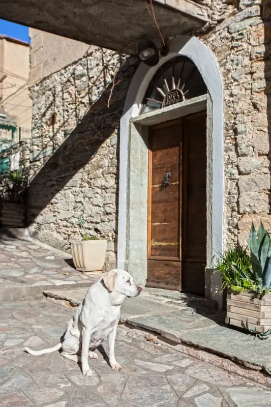Casa Tenda Appartement Dans Maison En Pierre