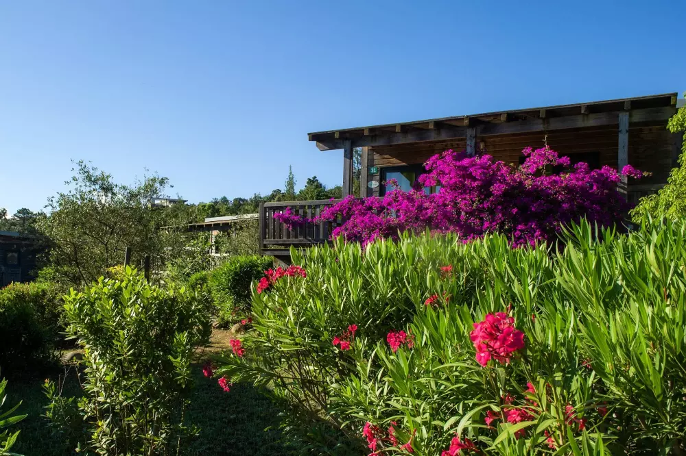 Camping Sole Di Sari