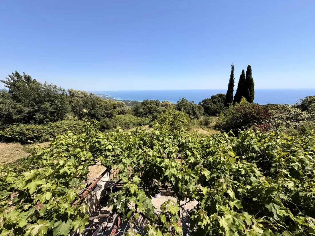 Maison de Vacances Sari-Solenzara 54