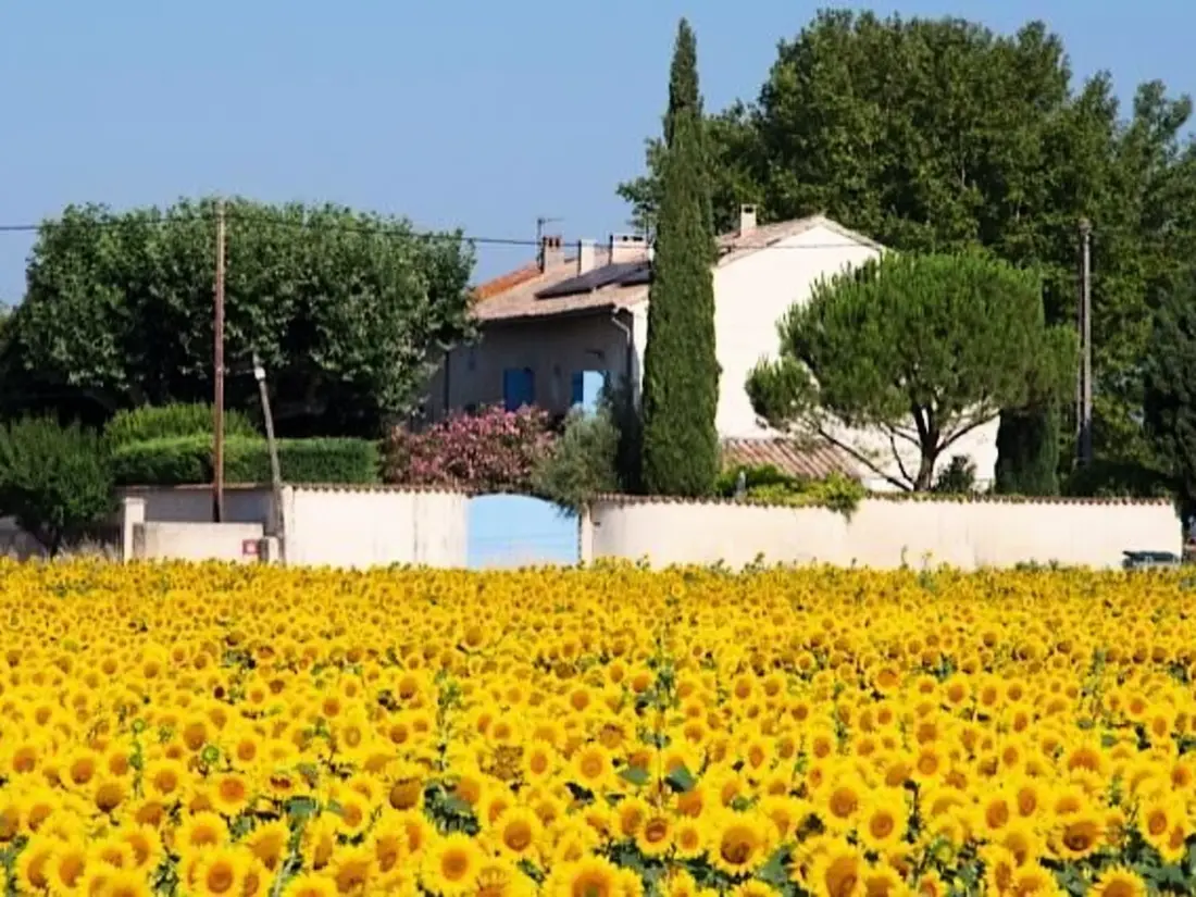Maison de Vacances Sarrians