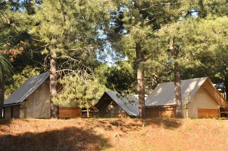 Camping Olva 3 étoiles★★★