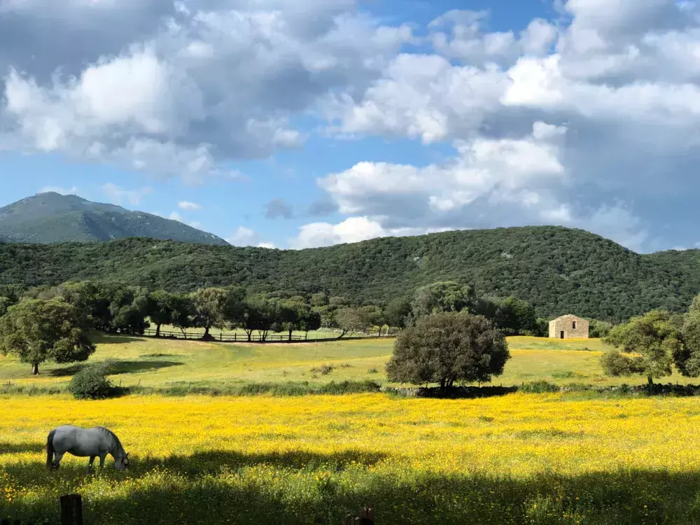 Camping Olva 3* - Maeva - On aime - 17