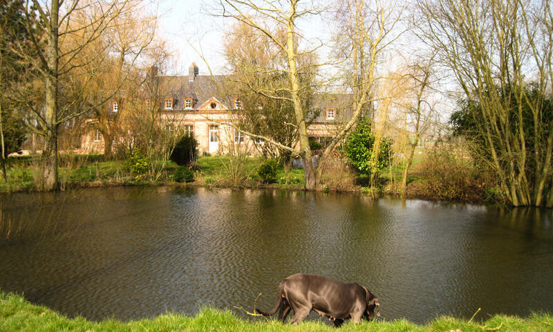 Gîte de France Manoir de briquedalles 3 épis - - Sassetot Mauconduit - 11