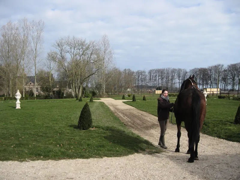 Gîte de France Gîtes de france® - manoir de briquedalles 3 épis