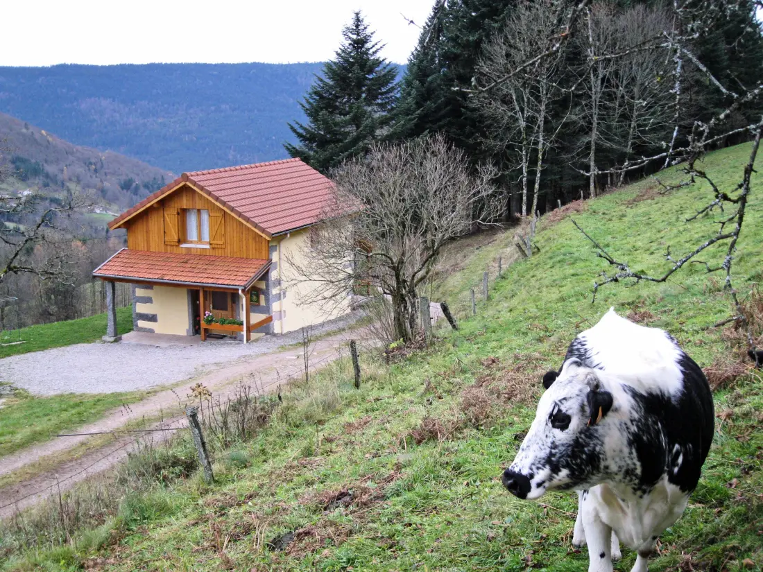 Maison de Vacances Saulxures-sur-Moselotte 5