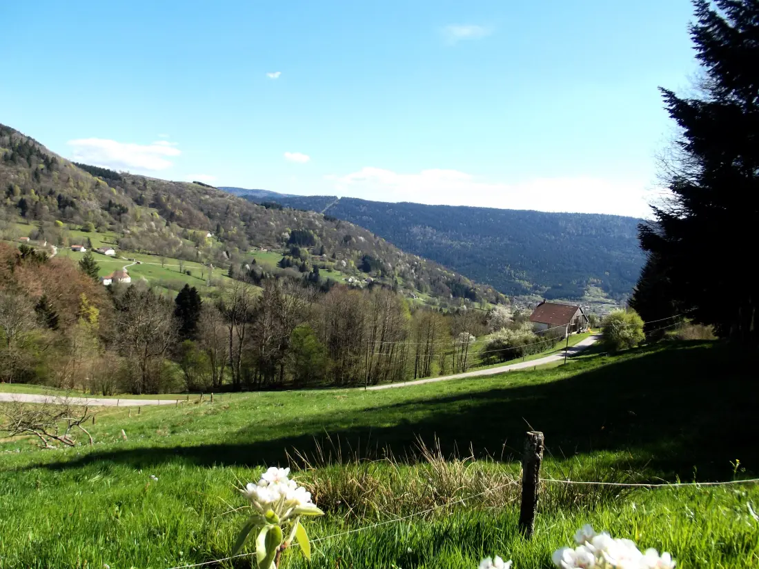 Maison de Vacances Saulxures-sur-Moselotte 5