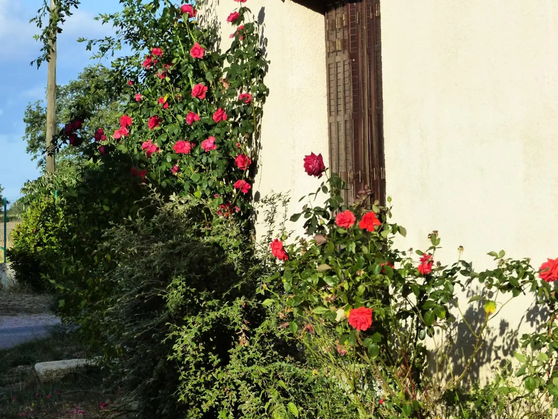 Maison de Vacances Sauvagny 2