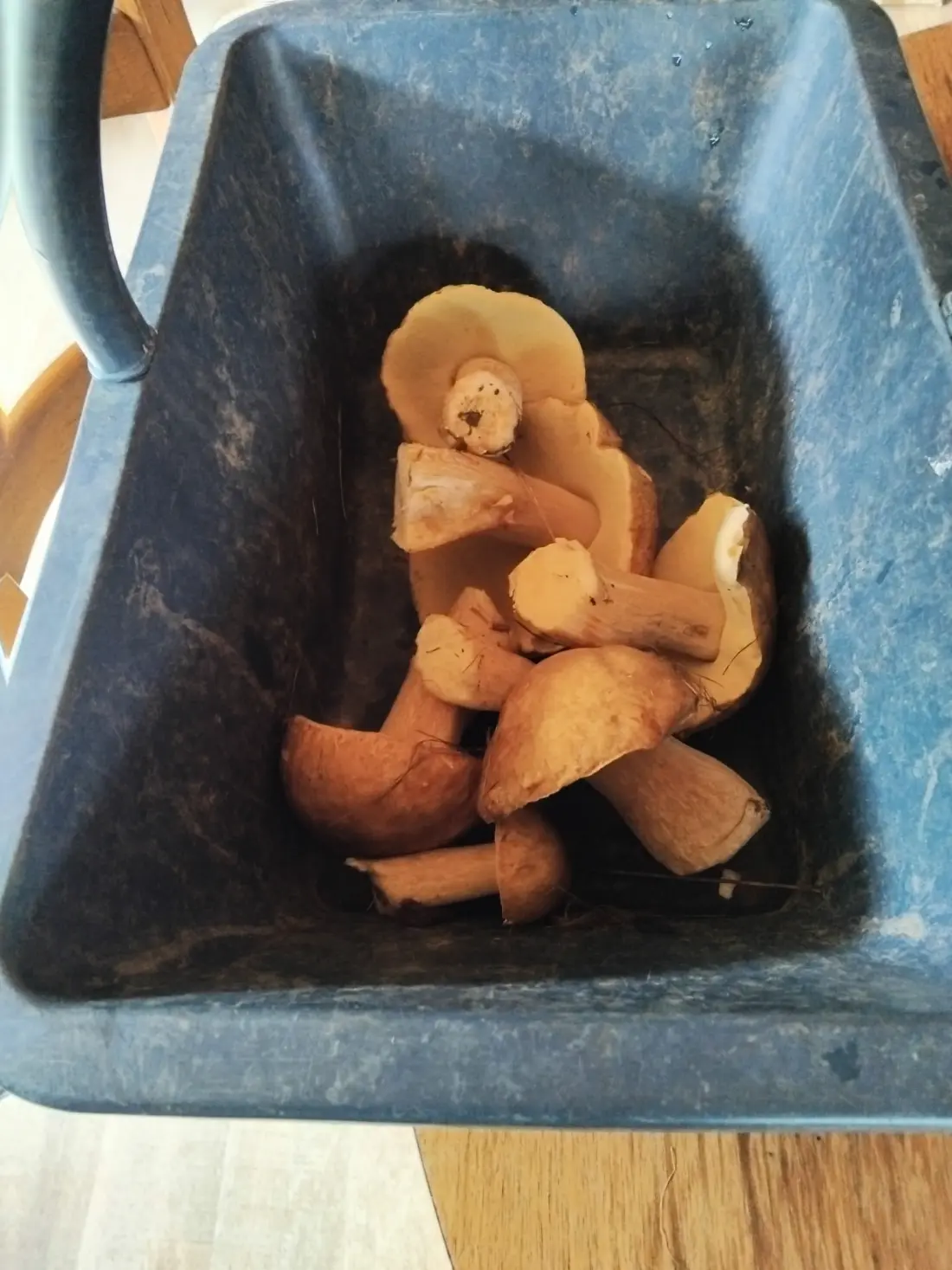Camping de l'Eau Mère 3 étoiles★★★