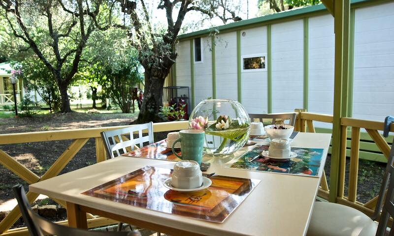 Camping il Fontino*** - - Scarlino - 14