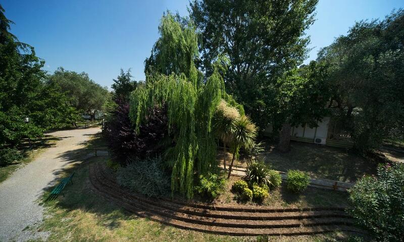 Camping il Fontino*** - - Scarlino - 9