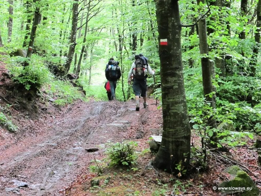 Camping Village Mugello Verde 3 étoiles★★★