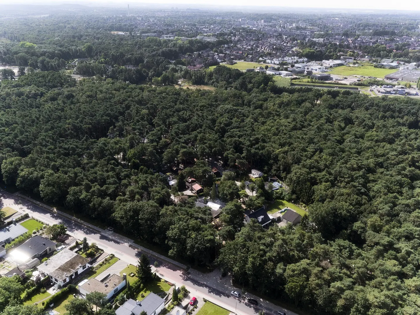 Bospark De Brenkberg - Schinveld - 1