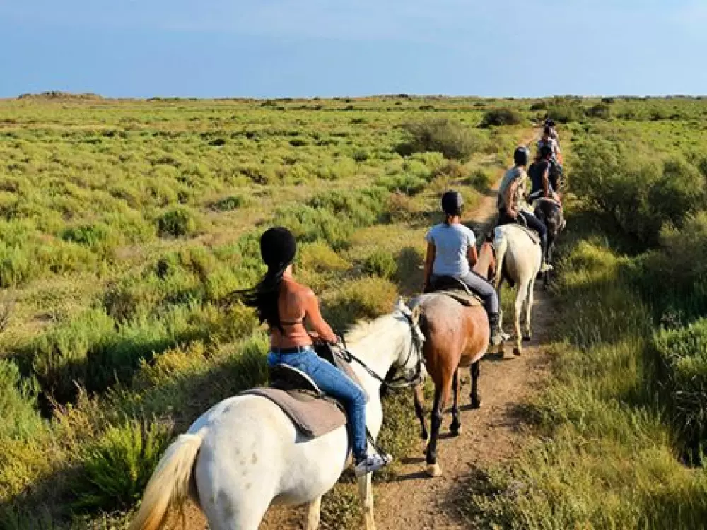 Camping Bleu Marine   4 étoiles★★★★