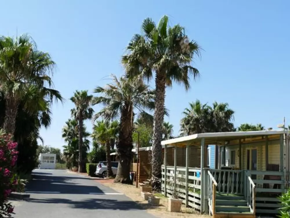 Camping Bleu Marine   4 étoiles★★★★