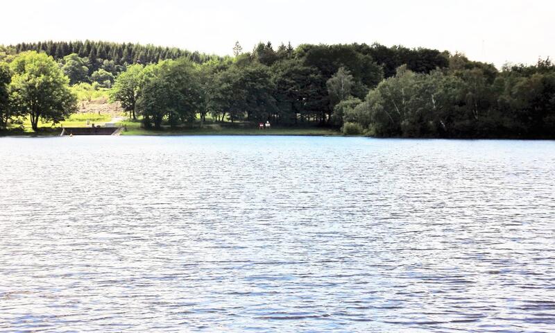 Gîte de France L'oustal du lac 3 épis - - Servières-le-Château - 28