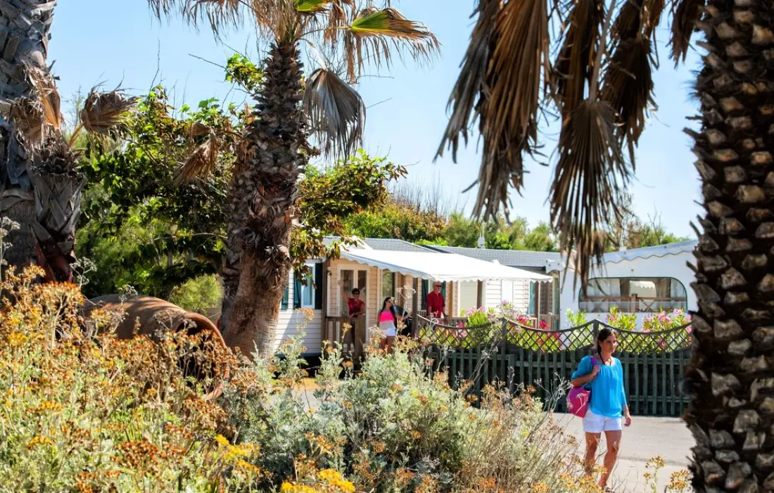 Camping Odalys Le Castellas