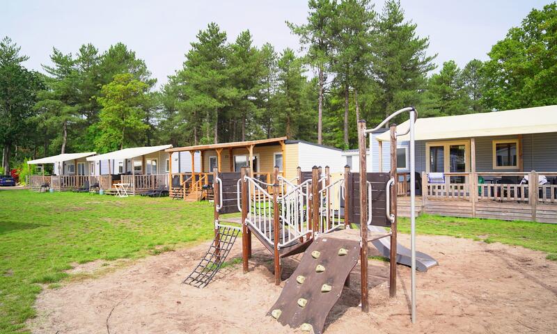 Camping Schatberg - Sevenum - 4