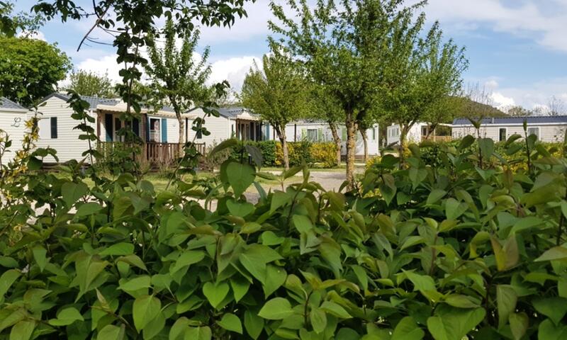 France - Sud Ouest - Severac le Château - Camping les Calquieres 4*