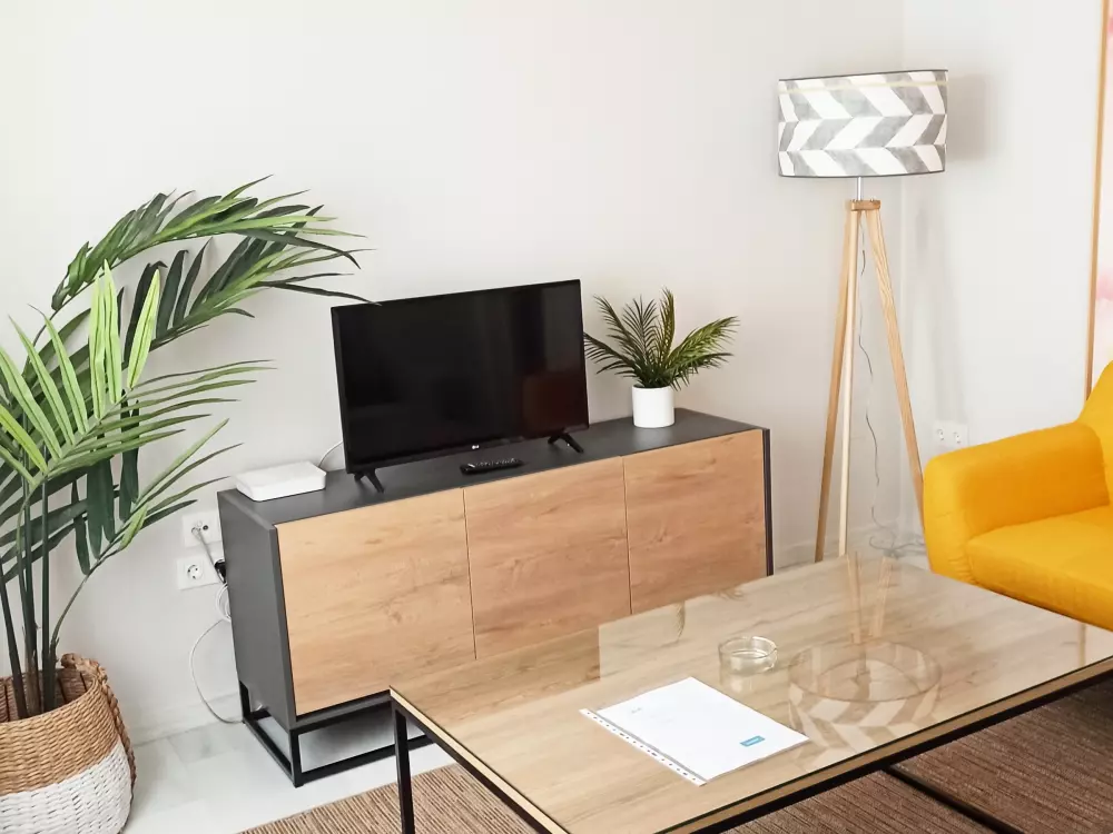 Location de Vacances Séville 106