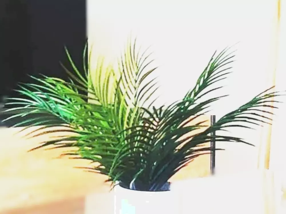 Location de Vacances Séville 106