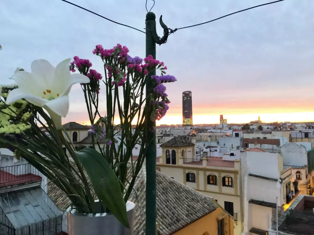 Location de Vacances Séville 109