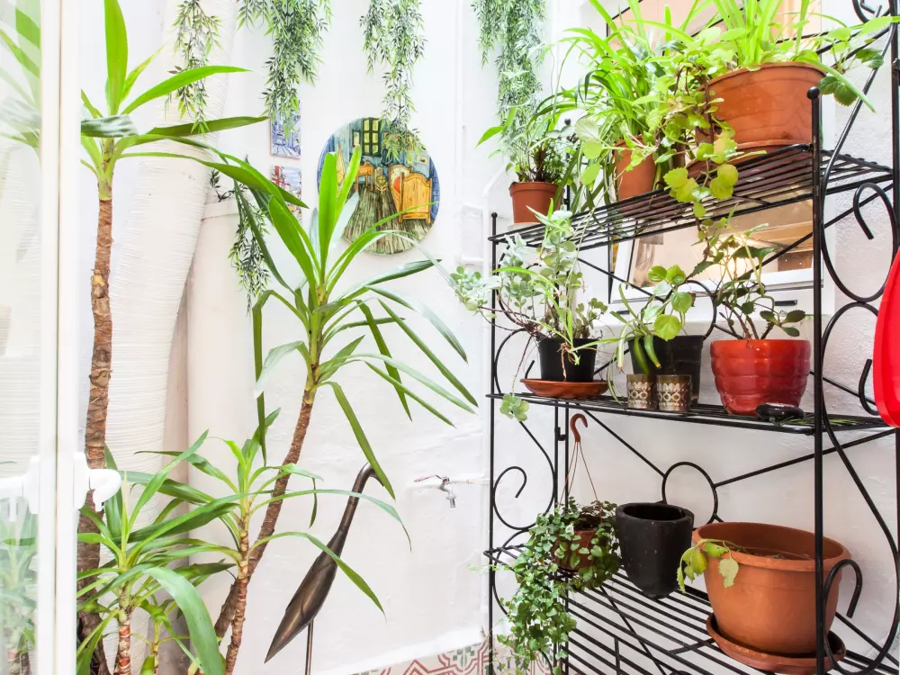 Location de Vacances Séville 109