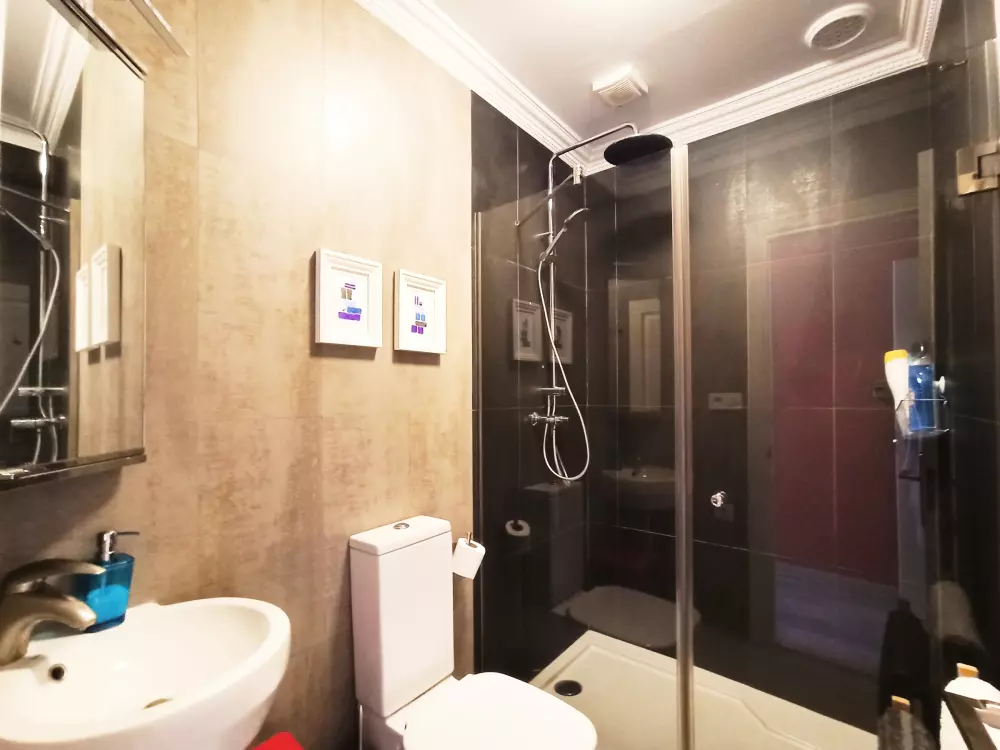 Location de Vacances Séville 110