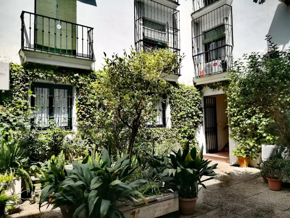 Location de Vacances Séville 124