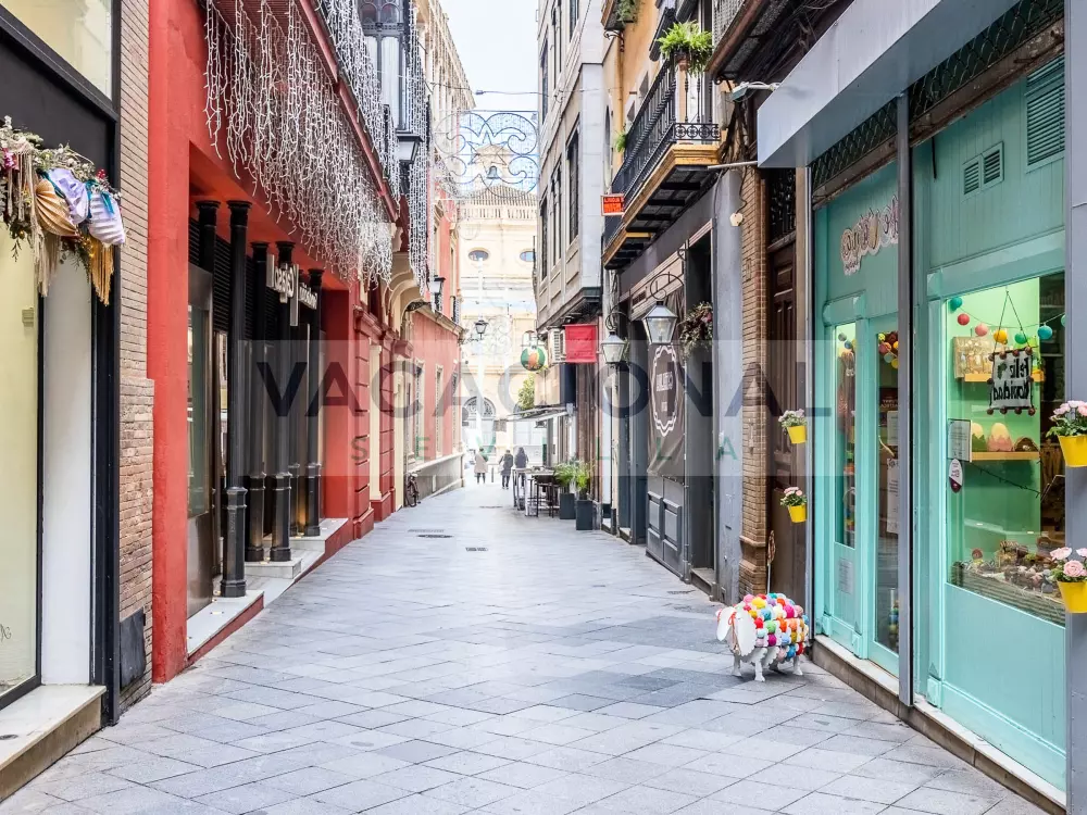 Location de Vacances Séville 80