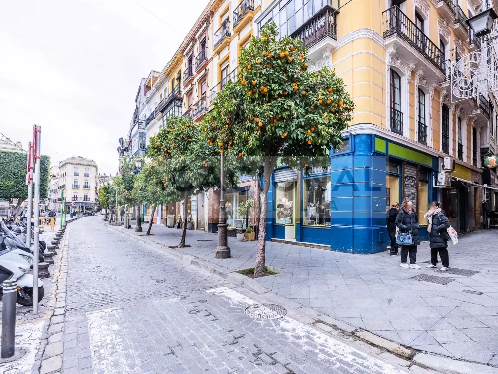 Location de Vacances Séville 80