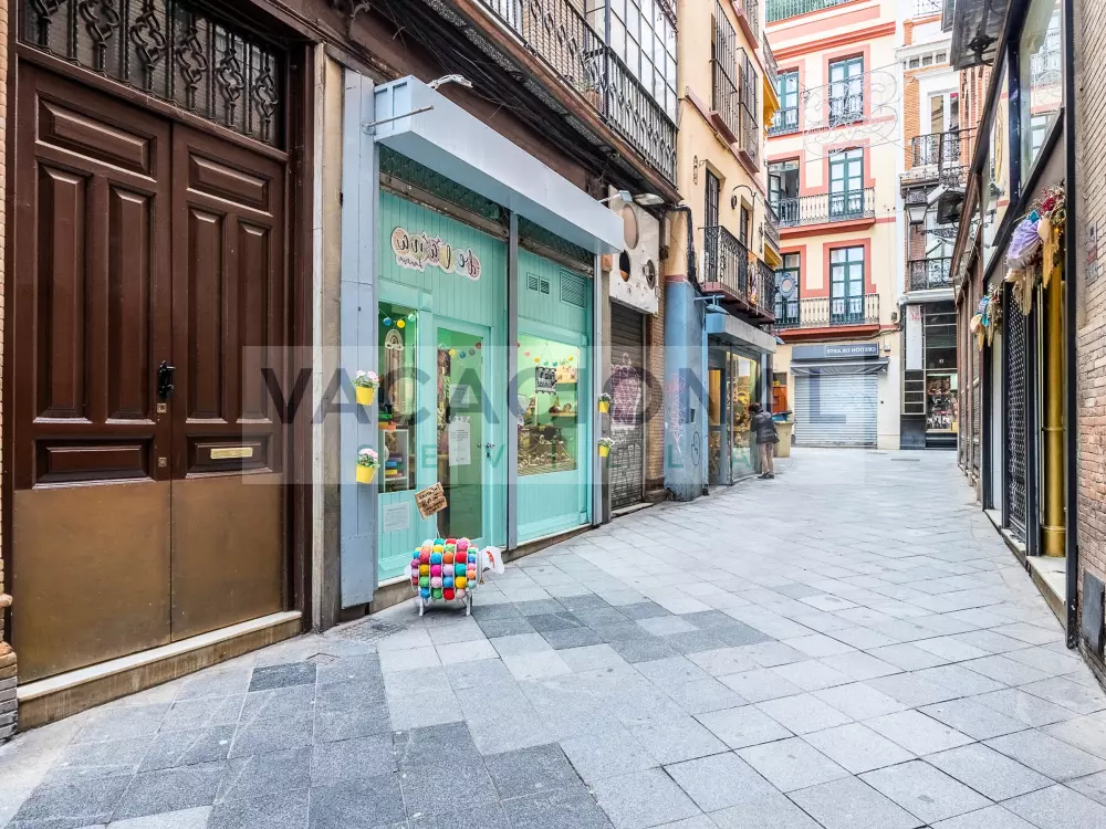 Location de Vacances Séville 80