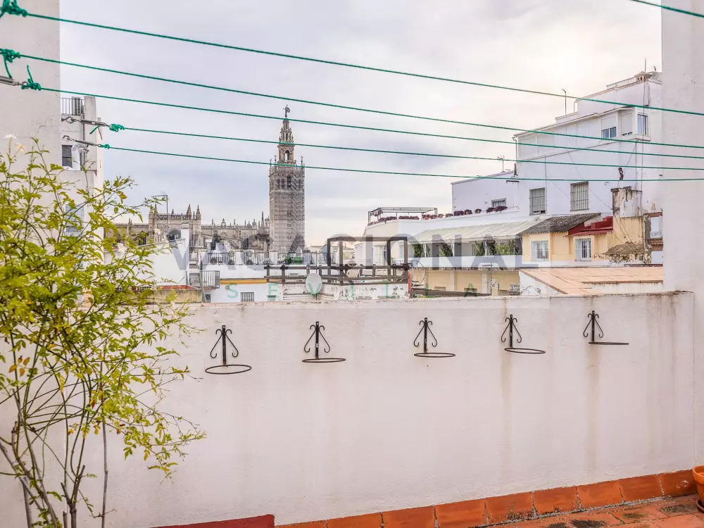 Location de Vacances Séville 80