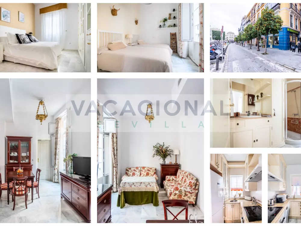 Location de Vacances Séville 80