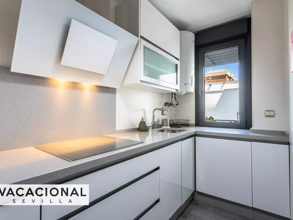 Location de Vacances Séville 81